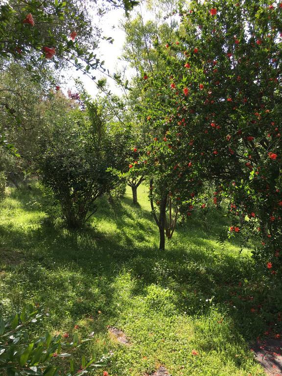 Apartamento Casale Le Querce Castelnuovo Berardenga Exterior foto